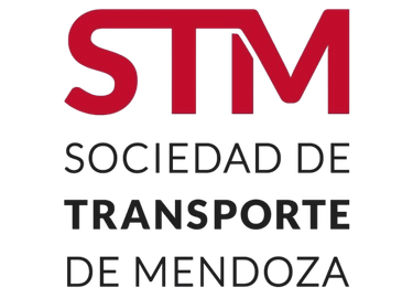 STM